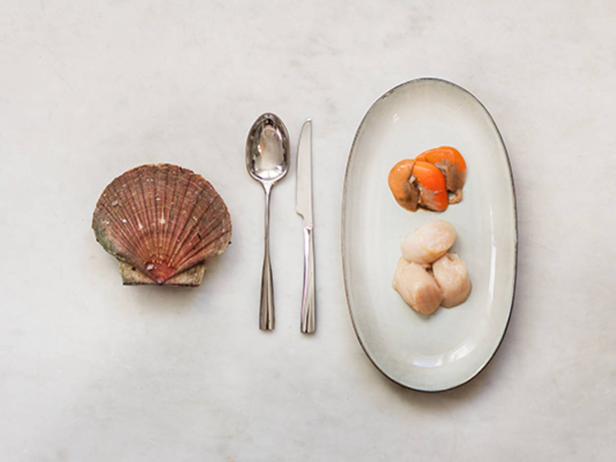 how-to-open-scallops-easily