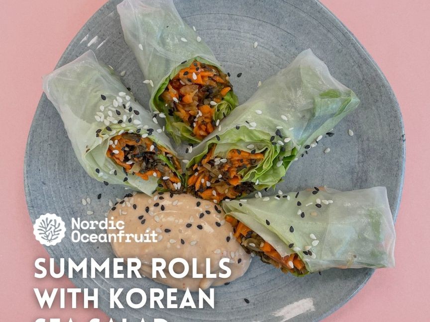 Summer rolls with OCEANFRUIT Korean seaweed salad