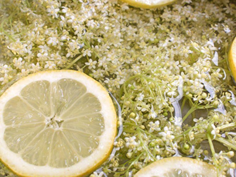 Put the elder flowers in about 5 L of water, add the juice of two lemons and another lemon quartered or sliced. It's important to use organic, unwaxed lemons! This process is called cold maceration: here the flowers are left for 2 to 2 days max to macerate.