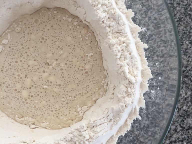 pour yeast mixture into the well, and stir with a little flour (this will feed the yeast). Set to bloom in a warm place for 15-20 minutes.